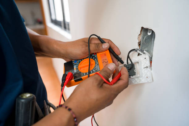 Best Local Electrician Companies  in Prces Lakes, IN